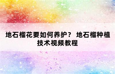 地石榴花要如何养护？ 地石榴种植技术视频教程